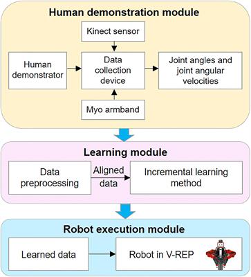 Incremental learning neural store network